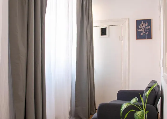 Gladiola * Timişoara