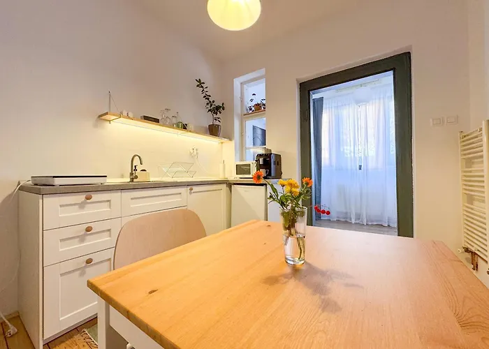 Gladiola * Timişoara